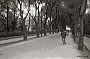 tratto di via Morgagni che attraversava i Giardini dell'Arena (1951)